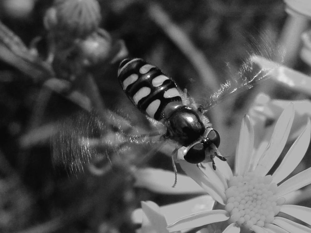 Фотография автора Павел Попов