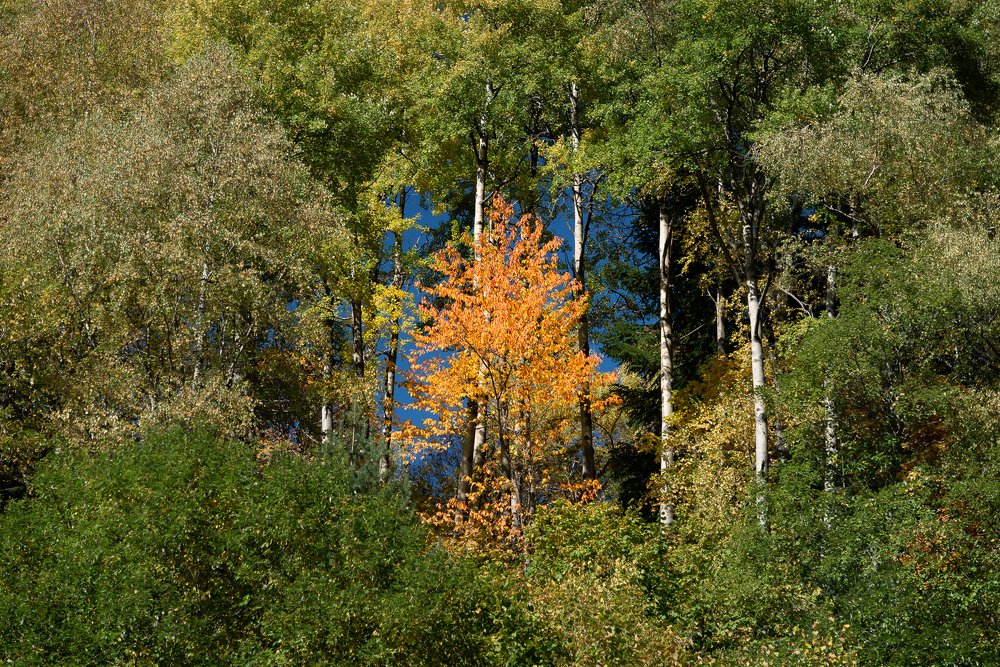 Photograph by Alexander Tsukanov