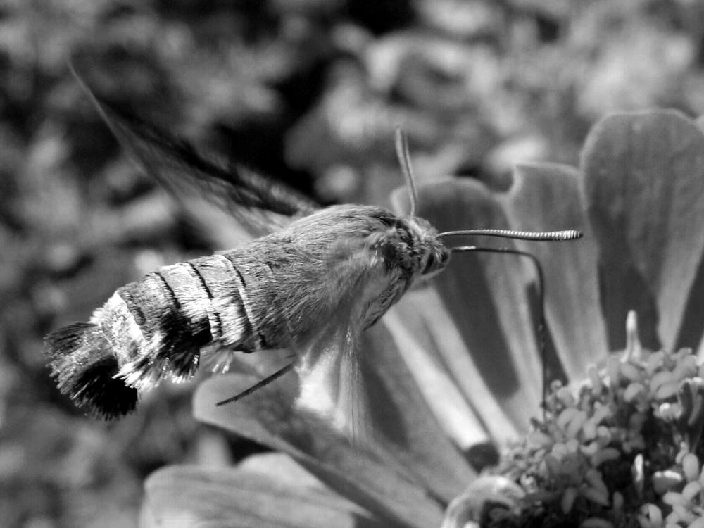 Фотография автора Павел Попов