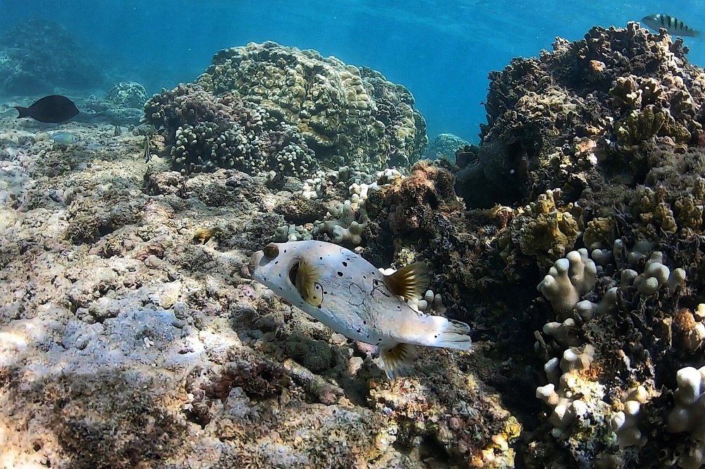 Photograph by Юлия Калугина