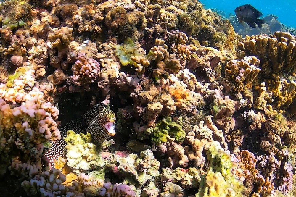 Photograph by Юлия Калугина