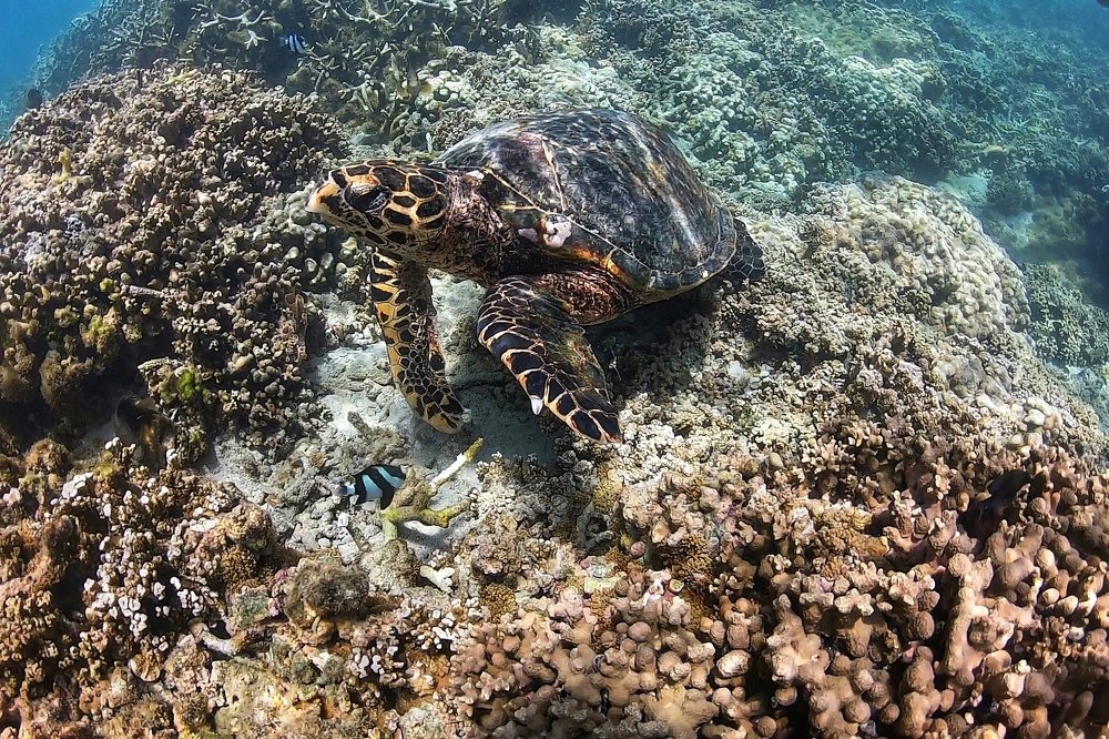 Photograph by Юлия Калугина