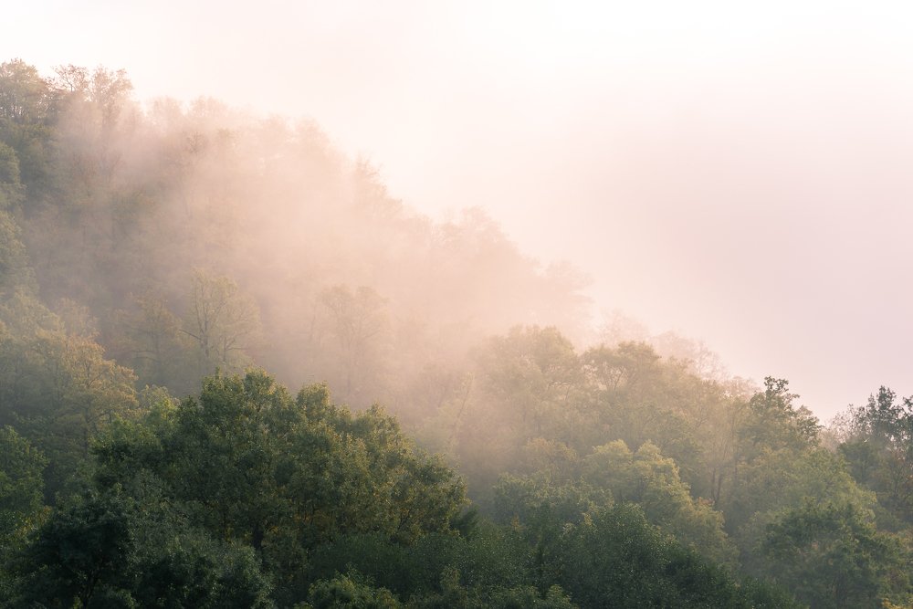 Photograph by Alexander Tsukanov