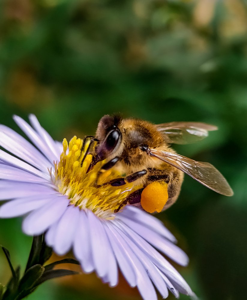 Photograph by Лариса Когтева