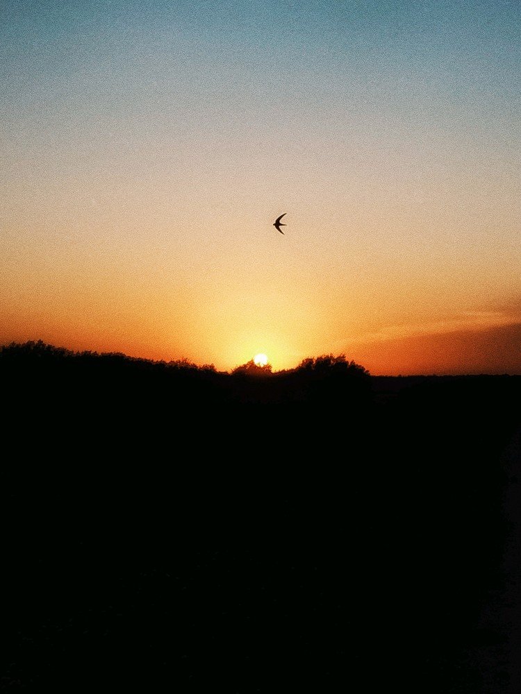 Photograph by Антон Е