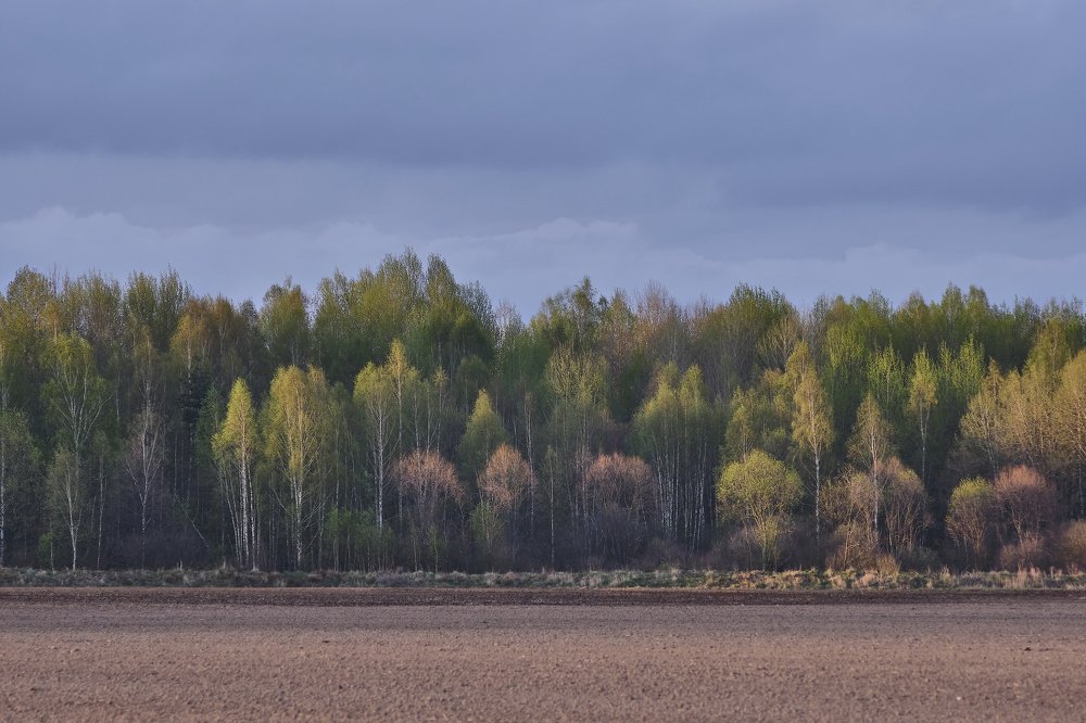 Photograph by Dmitry K