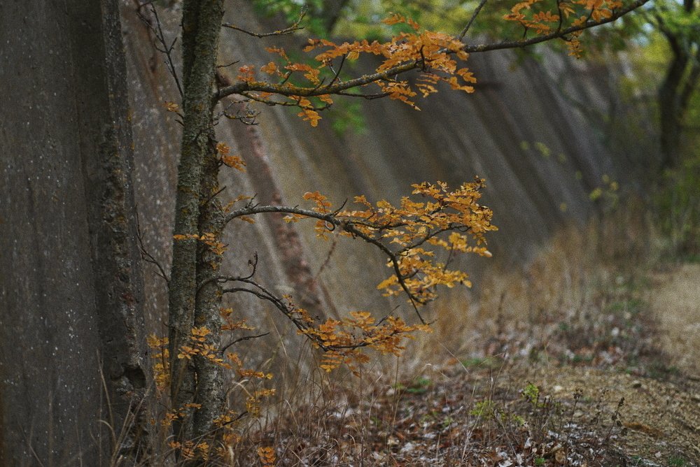 Photograph by Ксения Щербакова