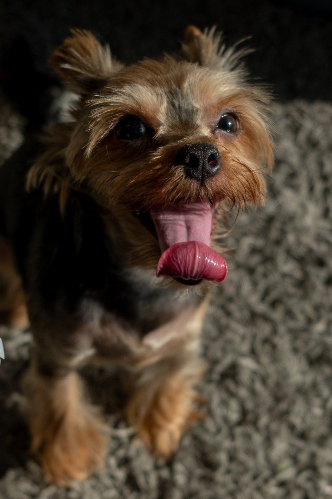 Photograph by Юлия Харечкина