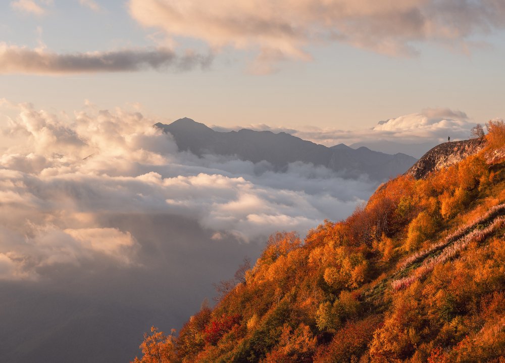 Фотография автора Анастасия Мазурева