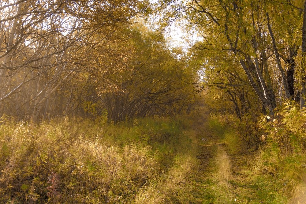 Photograph by Алексей Ознобихин