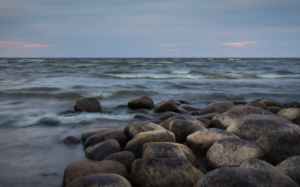 Photograph by Silja Tamme