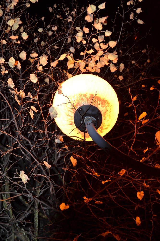 Photograph by Tsina Palynskaya