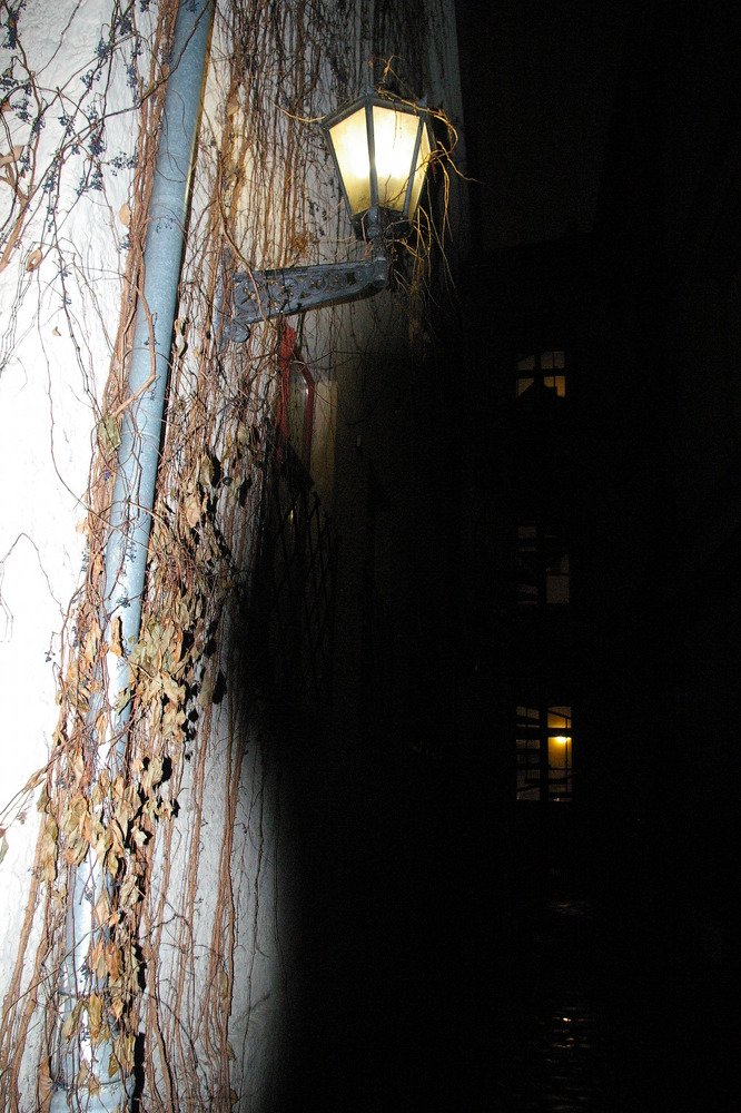 Photograph by Tsina Palynskaya