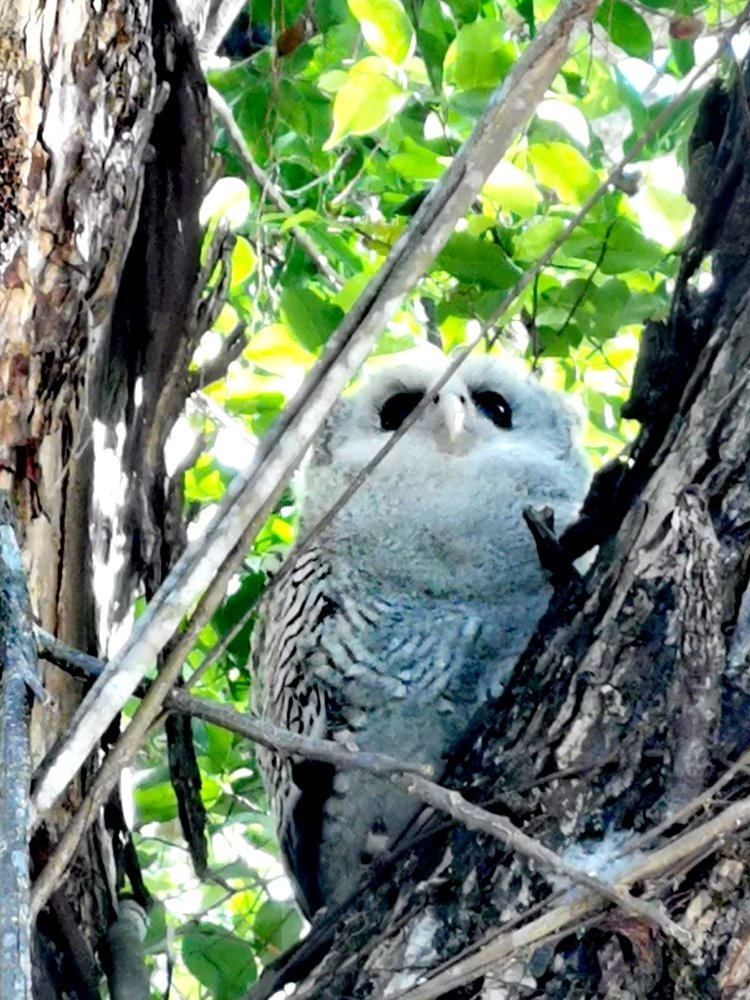 Photograph by Chunhou Poon