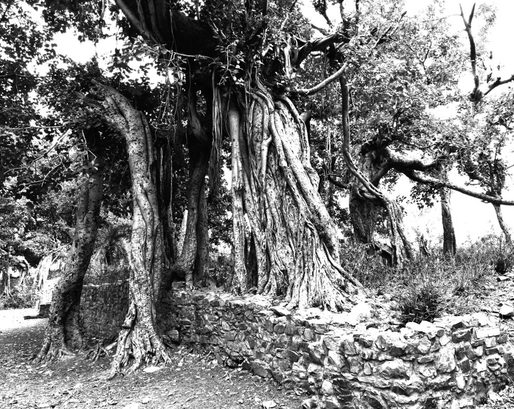 Photograph by Kapil Singh