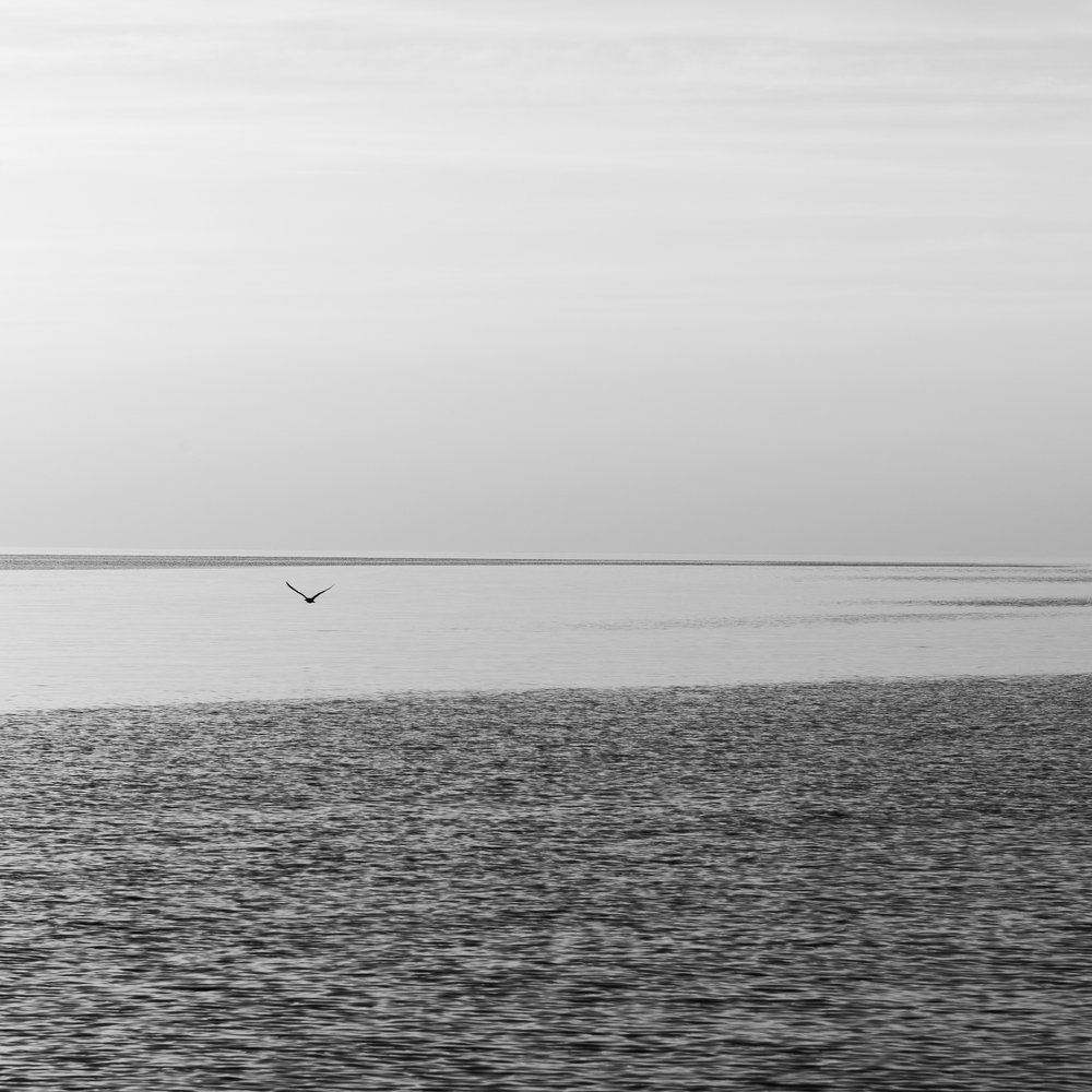 Photograph by Alexander Tsukanov