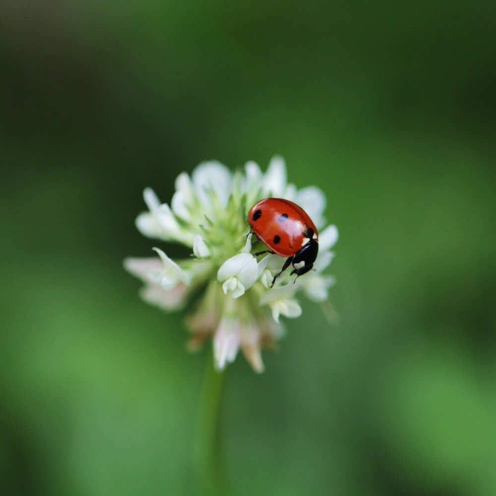 Photograph by Екатерина Фокина