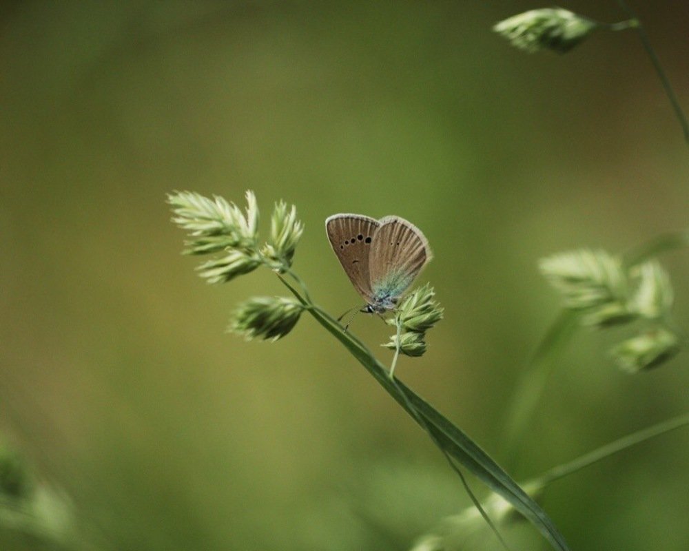 Photograph by Екатерина Фокина