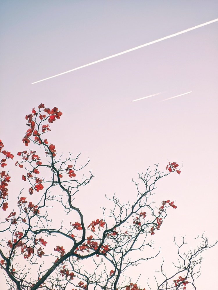 Photo #5100134