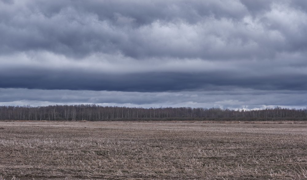 Photograph by Dmitry K