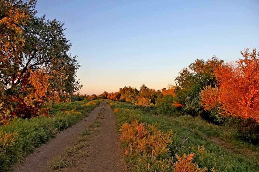 Photograph by Александр Бугаенко