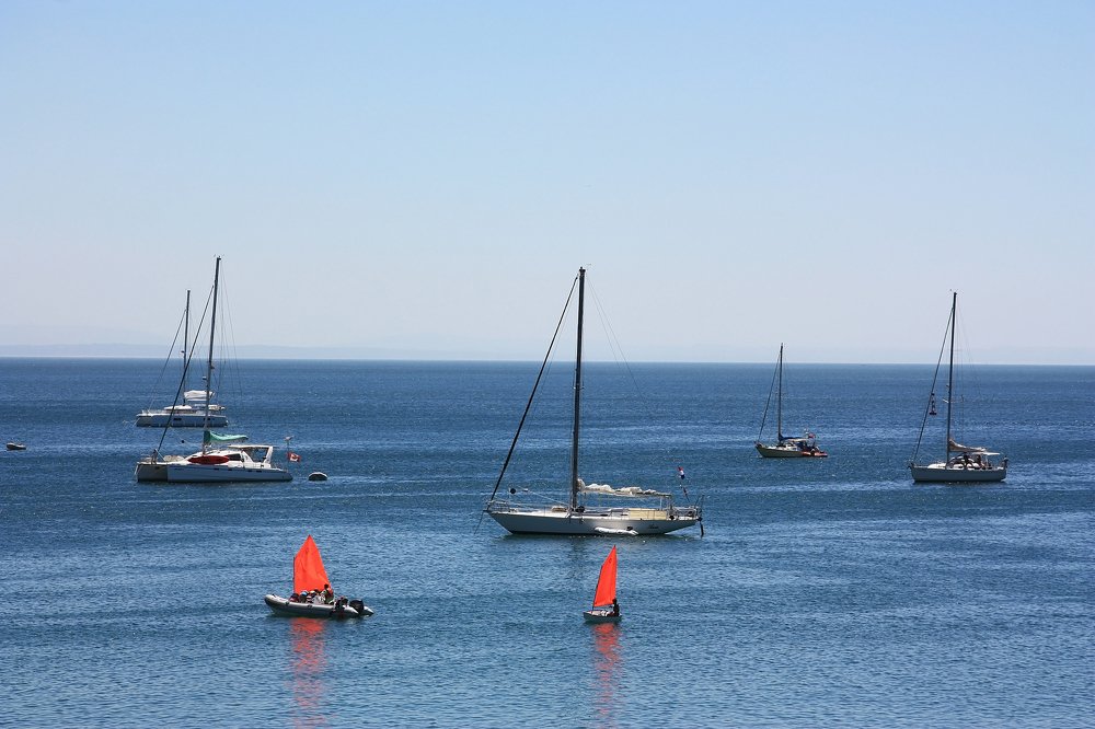 Photograph by Людмила Травина