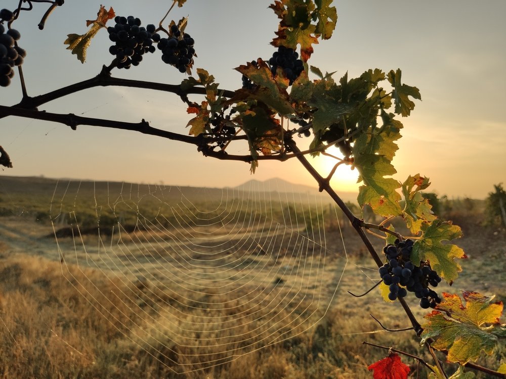 Photograph by Ксения Щербакова