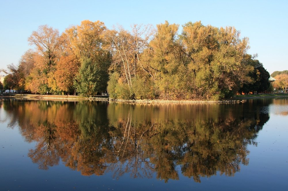 Photograph by Людмила Травина