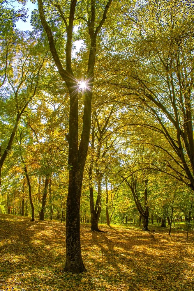 Photograph by Лани Свет