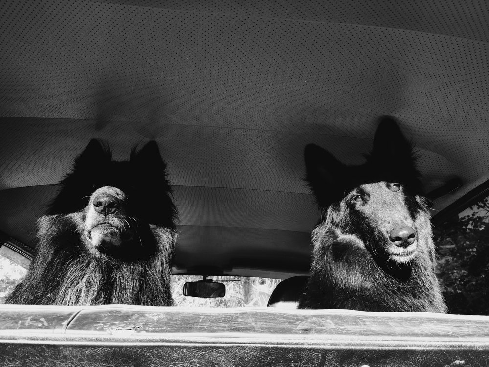 Photograph by Ксения Щербакова