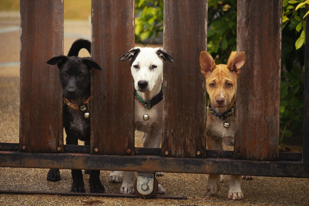 Photograph by Ксения Щербакова