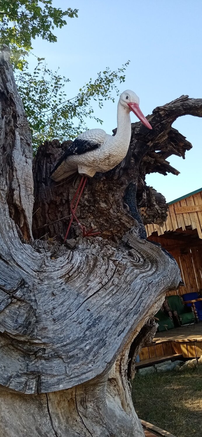 Photo #5100226