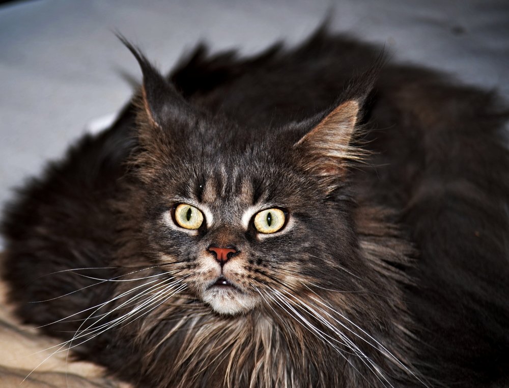 Photograph by Артур Хороший