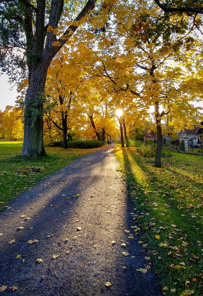 Photograph by Aleksandr Barsukov