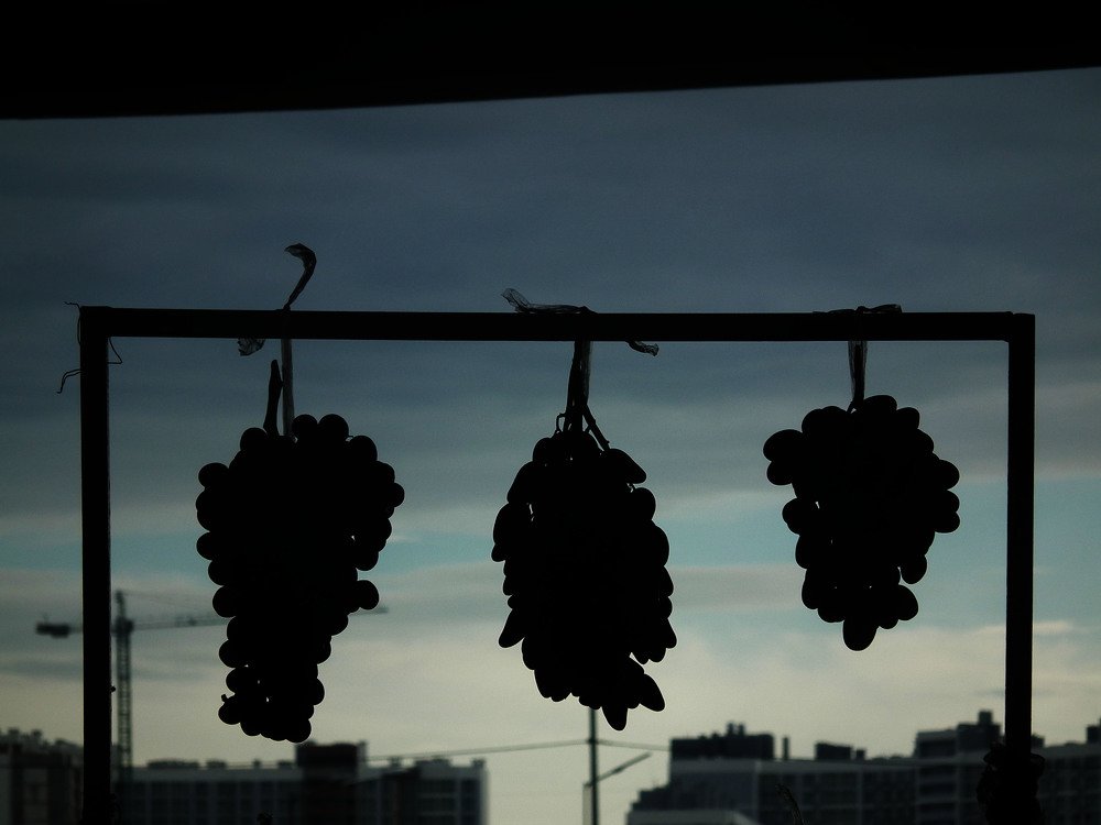 Photo #5100280