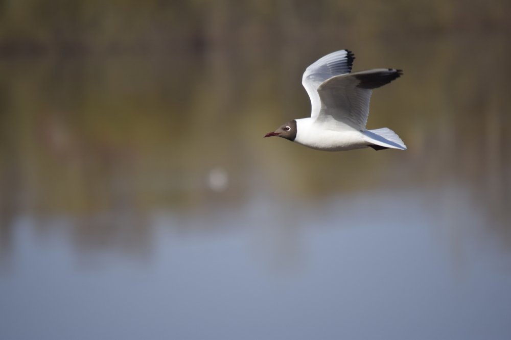 Photograph by Алексей Логинов