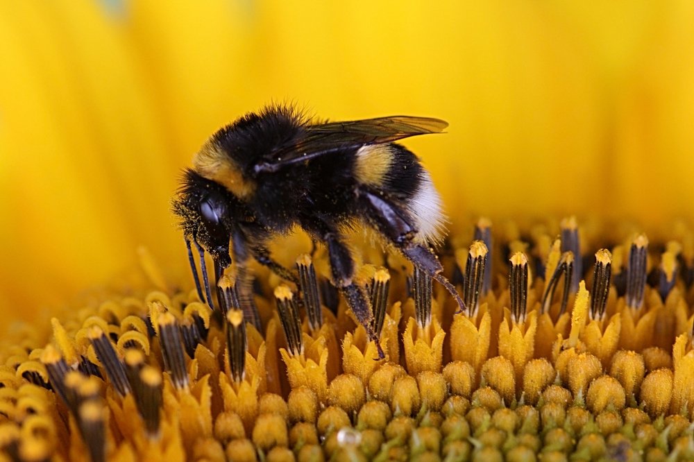 Photograph by Людмила Травина