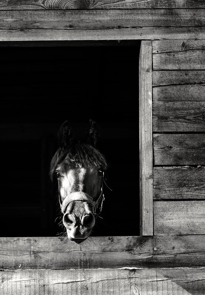 Photograph by Юлия Яровая