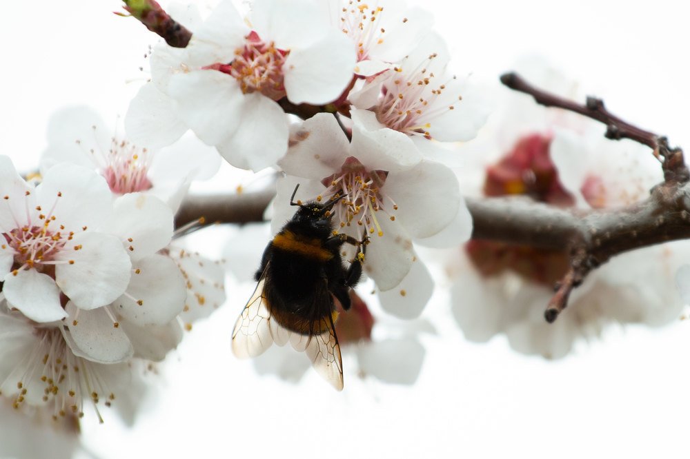 Photograph by Валерия Зайцева