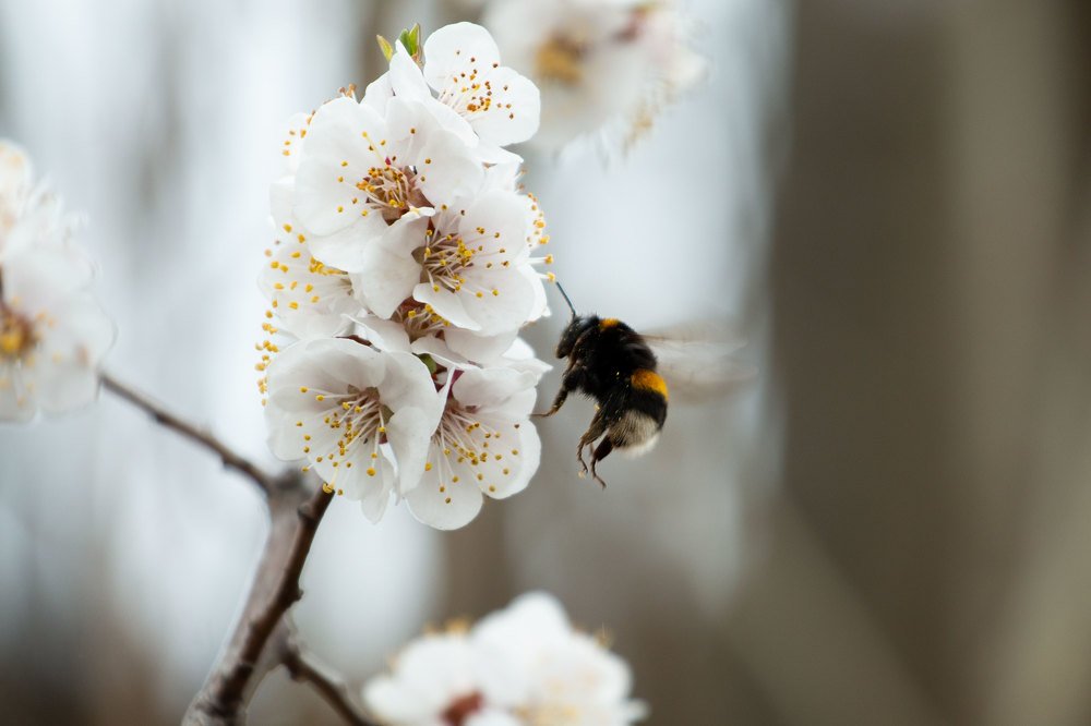 Photograph by Валерия Зайцева