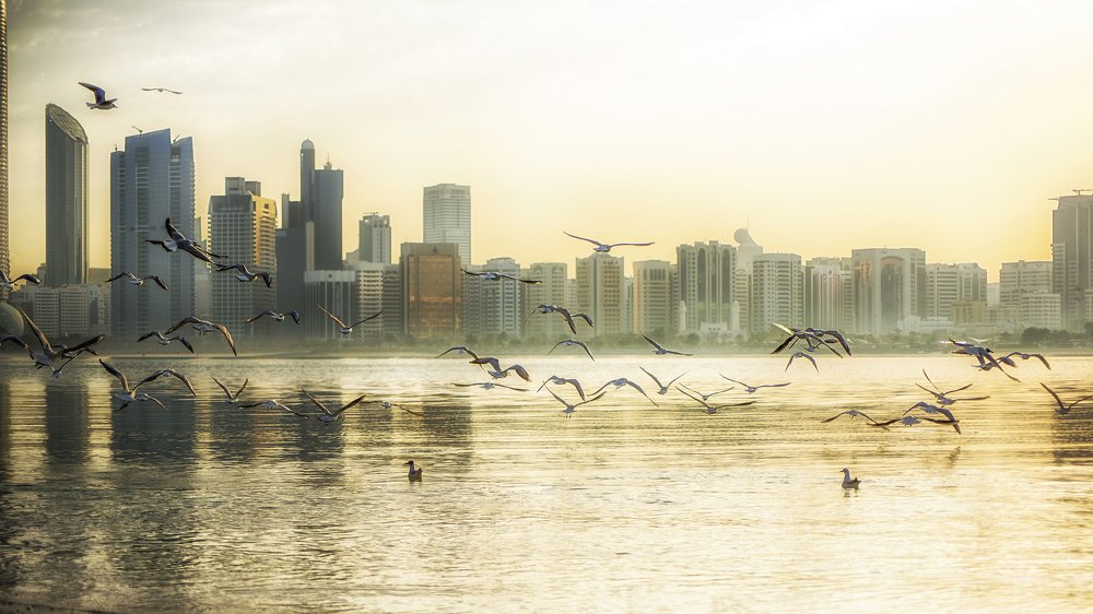 Photograph by khalil Morcos