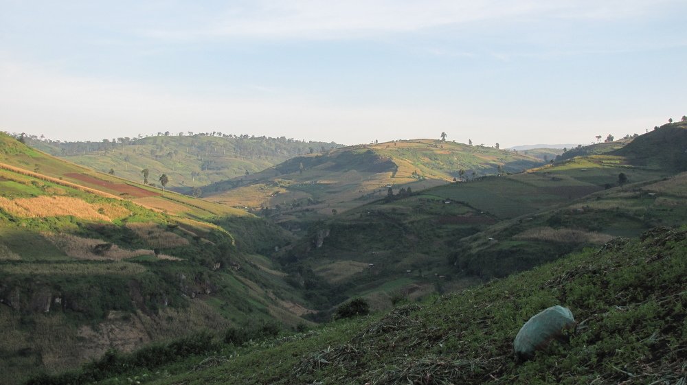 Photo #5100340