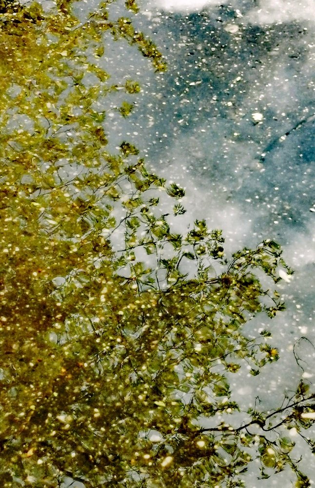 Sunshine on raindrops