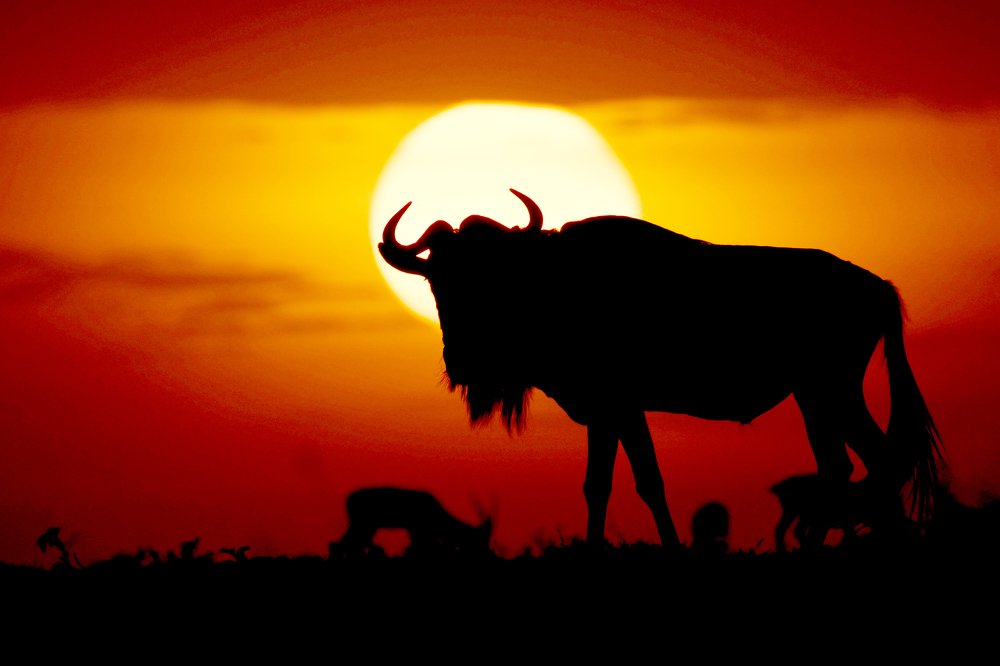 Photograph by Yuwaraj Gurjar