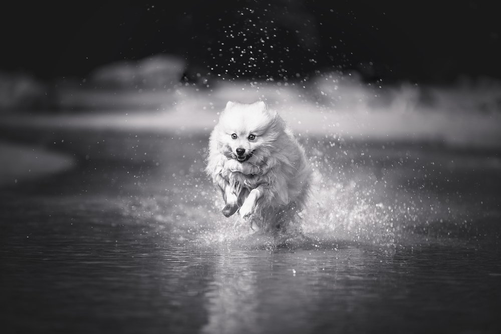 Photograph by Deise de Oliveira