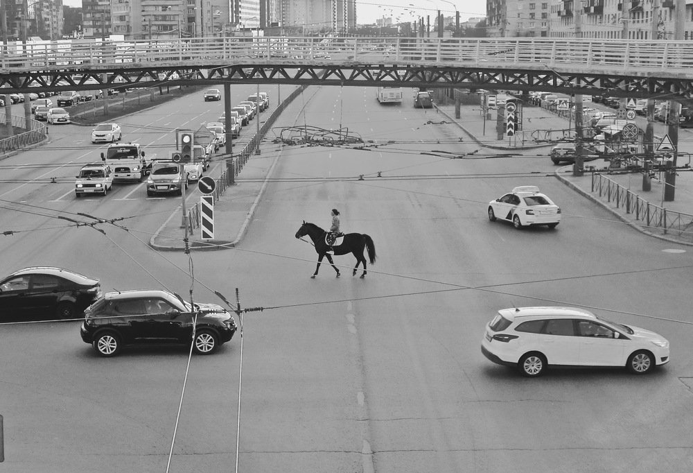 Photograph by Елена Жукова