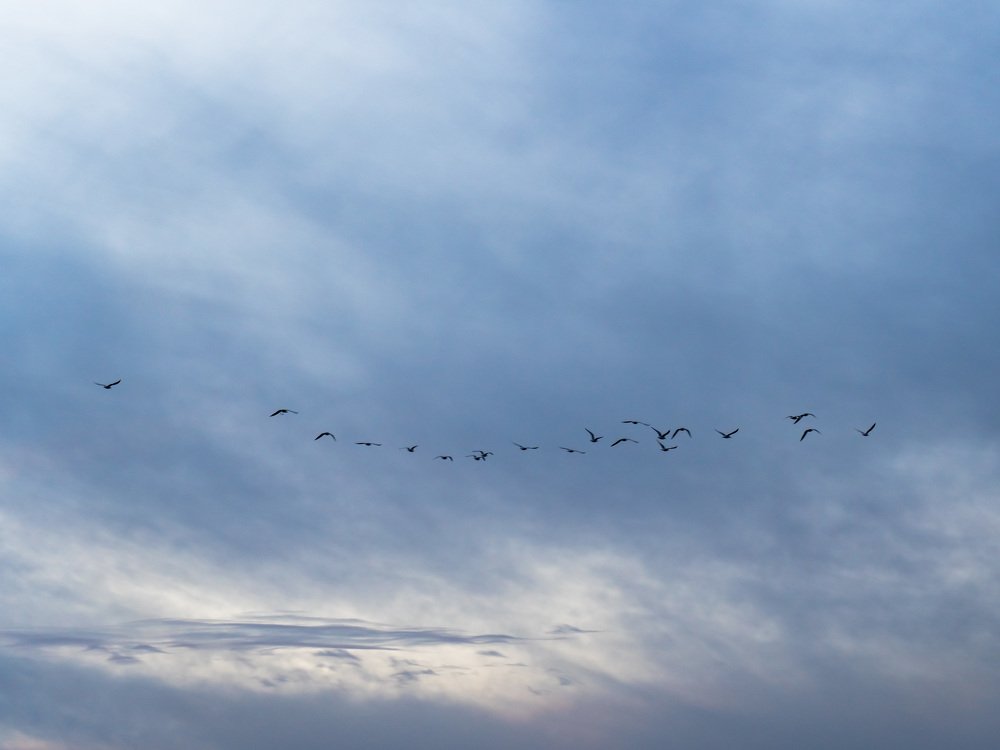 Photograph by Rasoul Soleimani