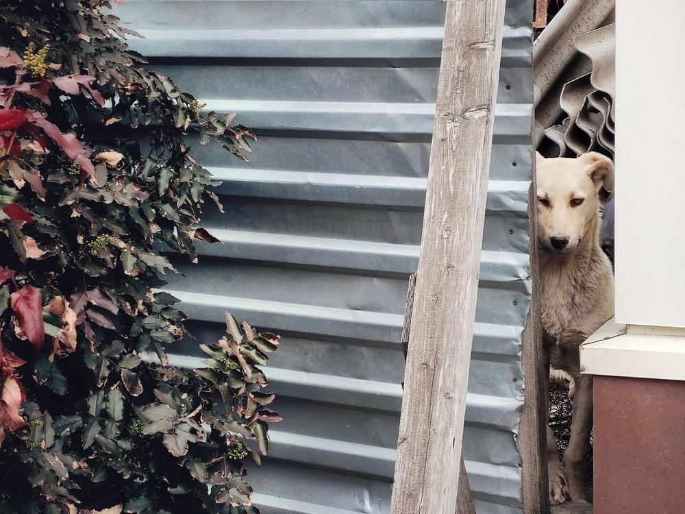 Photograph by Alexander Slobodenyuk