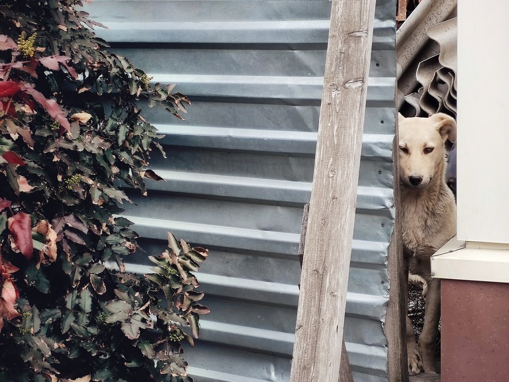 Photo #5100506