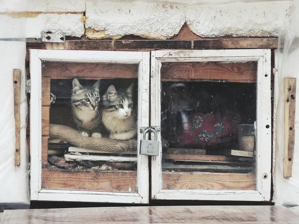 Photograph by Alexander Slobodenyuk